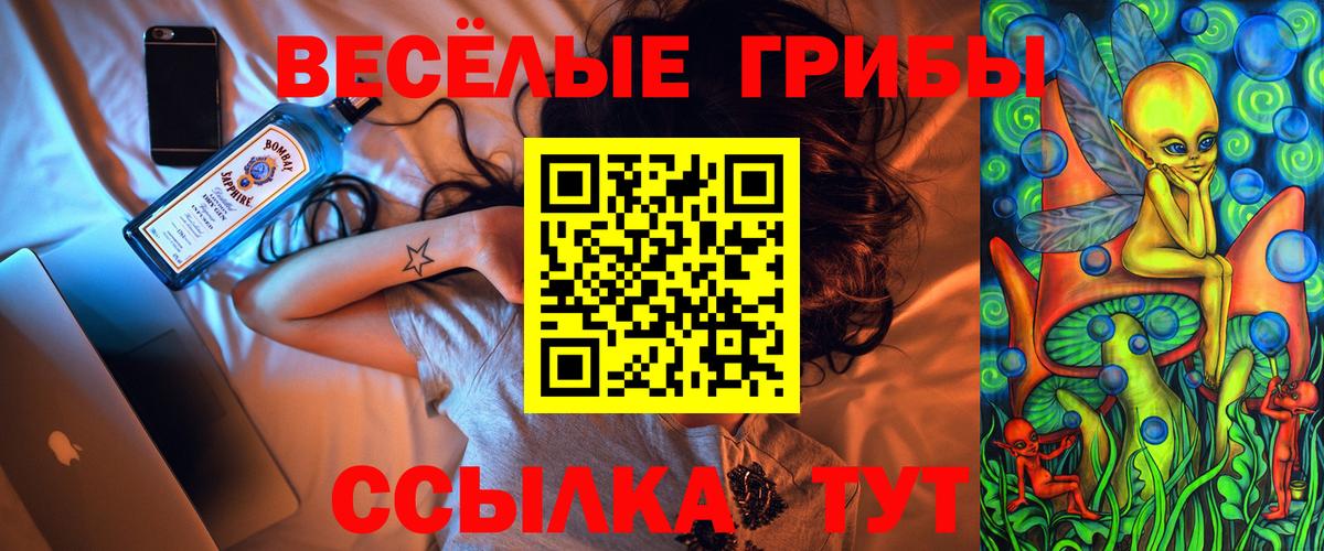 Псилоцибиновые грибы Cubensis Лобня