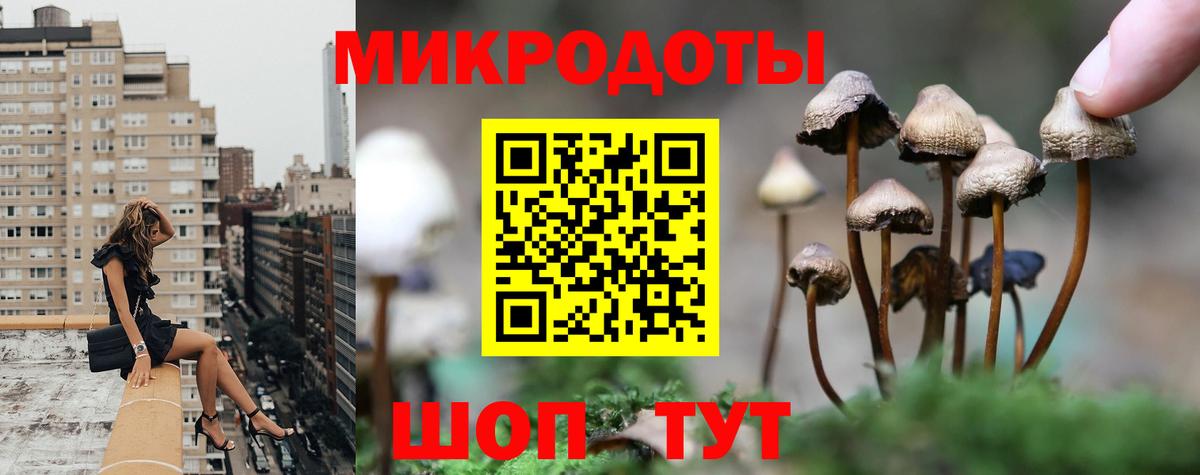 Лобня  Псилоцибиновые грибы GOLDEN TEACHER  Вход с VPN  Псилоцибиновые грибы Magic Shrooms 